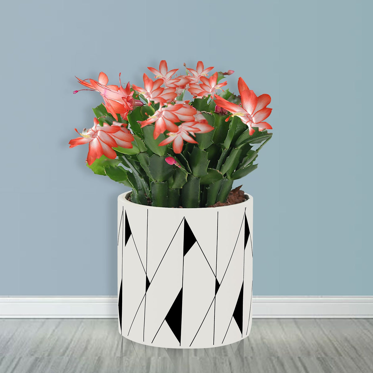 Scrub Straight Planting Plant Ceramic Flower Pot Angelwarriorfitness.com